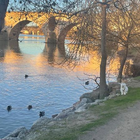 Apartament Plata 2 Zamora Zewnętrze zdjęcie